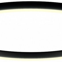 Потолочный светильник 0520820