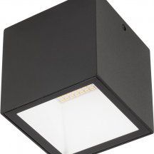 Потолочный светильник уличный Oasis Light TUBE LED W3891-3K Bl