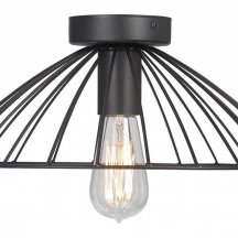 Потолочный светильник Vitaluce V3036-1/1PL