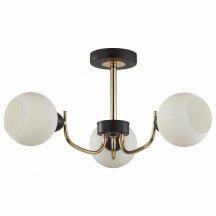 Потолочная люстра Lumion Bliss 5642/3C
