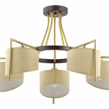 Потолочная люстра Lumion Karen 3750/5C