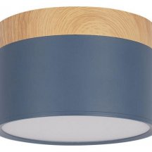 Накладной светодиодный светильник Loft IT Grape 10162 Blue