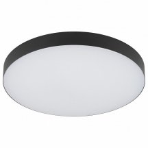 Потолочный светильник ЭРА Relict 38 SPB-6-40 4К BK