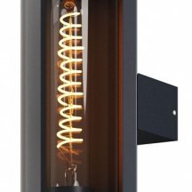 Настенный светильник уличный Maytoni Conf O451WL-01GF