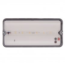 Настенно-потолочный светильник Uniel ULW-K25B 6W/4000K/EMG IP65 BLACK