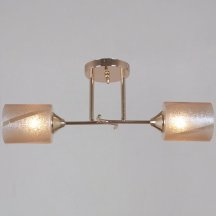 Потолочная люстра Reluce 51460-0.3-02 FG