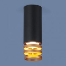 Потолочный светильник Elektrostandard DLN102 GU10 черный/золото 4690389148774