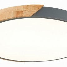 Потолочный светодиодный светильник Evoluce Festa SLE200972-01