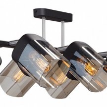 Потолочная люстра Vitaluce V4895-1/6PL