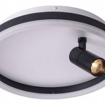 Потолочный светильник Raizy ZRS.1888.03 Потолочный светильник Raizy ZRS.1888.03