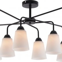 Потолочная люстра Jodie 9190-308