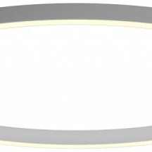 Потолочный светильник 0520838