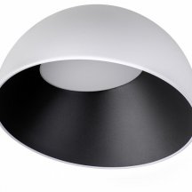 Потолочный светильник Egg 10197/350 WB