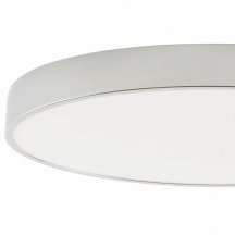 Потолочный светильник Tortty ZRS.02565.120