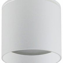 Накладной светильник Favourite Fantum 4662-1U