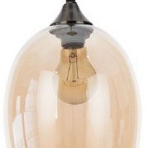 Подвесной светильник Arte Lamp Propus A4344SP-1AB из Италии