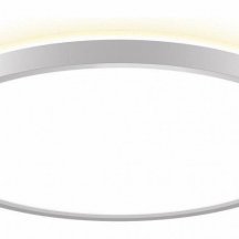 Накладной светильник Citilux NORMA CL748320