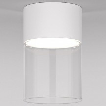 Потолочный светодиодный светильник Elektrostandard Lumen 25047/LED 10W 4000К белый/прозрачный a064710