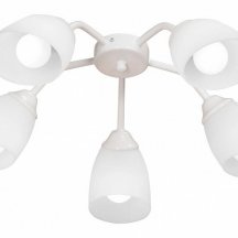 Потолочная люстра Vitaluce V3195/5PL