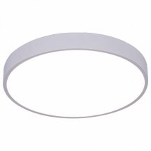 Потолочный светодиодный светильник Arte Lamp Arena A2661PL-1WH