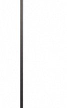Торшер Loft IT Ritz 10253F/A Black