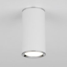 Потолочный светильник Elektrostandard DLN101 GU10 WH белый 4690389135859