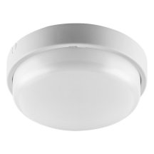 Настенно-потолочный светильник ЖКХ ДБО01-8-001-4К