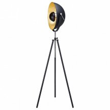 Торшер в гостиную Lussole  lSP-9824