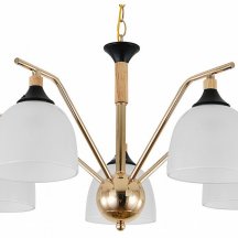 Подвесная люстра Escada Actinidia 2123/5P