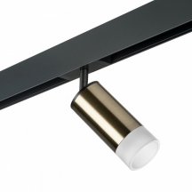 Потолочный светильник из бронзы Lightstar Rullo PRO43131