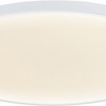 Потолочный светильник Donolux Disco DL20171R24W1W