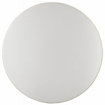 Настенно-потолочный светильник Sonex Smalli 3066/AL Настенно-потолочный светильник Sonex Smalli 3066/AL