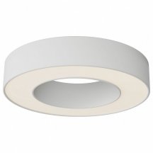 Накладной светильник Maytoni Technical Lua C093CL-24W3K-W