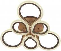 Потолочная люстра Escada Molly 10221/6LED Coffee 75W