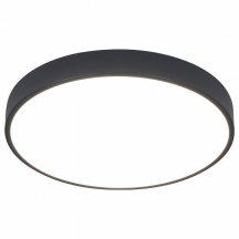 Потолочный светодиодный светильник Arte Lamp Arena A2661PL-1BK