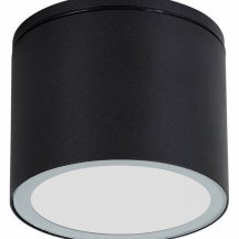 Потолочный светильник уличный Arte Lamp Piautos A1913PF-1BK