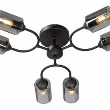 Потолочная люстра Vitaluce V2823-1/6PL