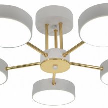 Потолочная светодиодная люстра Escada Rune 10262/5LED