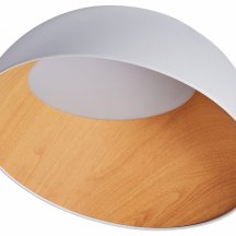 Потолочный светильник Zortes Baum ZRS.01201.19