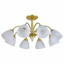 Потолочная люстра Ilex ES0000034