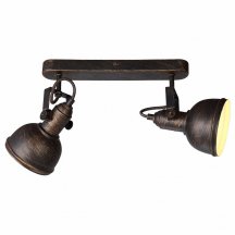 Настенно-потолочный светильник Arte Lamp Martin A5213AP-2BR Лофт