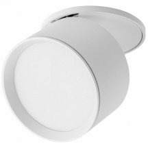 Точечный светильник Lightstar Acuto 215806