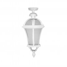 Потолочный светильник уличный Oasis Light ROMA L 95205LA W