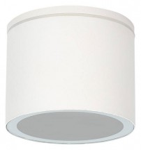 Потолочный светильник уличный Arte Lamp Piautos A1913PF-1WH