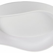 Потолочный светильник Diona MR9170-CL