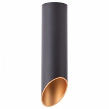 Потолочный светильник Arte Lamp Pilon-Gold A1535PL-1BK