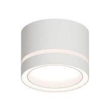 Потолочный светильник Apeyron Ray 16-120