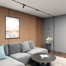 Трековый светильник AIR HANG DK5376-BK