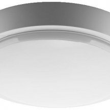 Накладной светильник Wolta  DBO01-10-6.5K