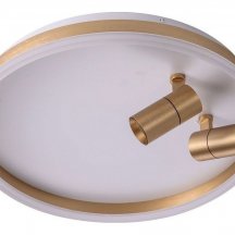 Потолочный светильник Zortes Raizy ZRS.1888.02